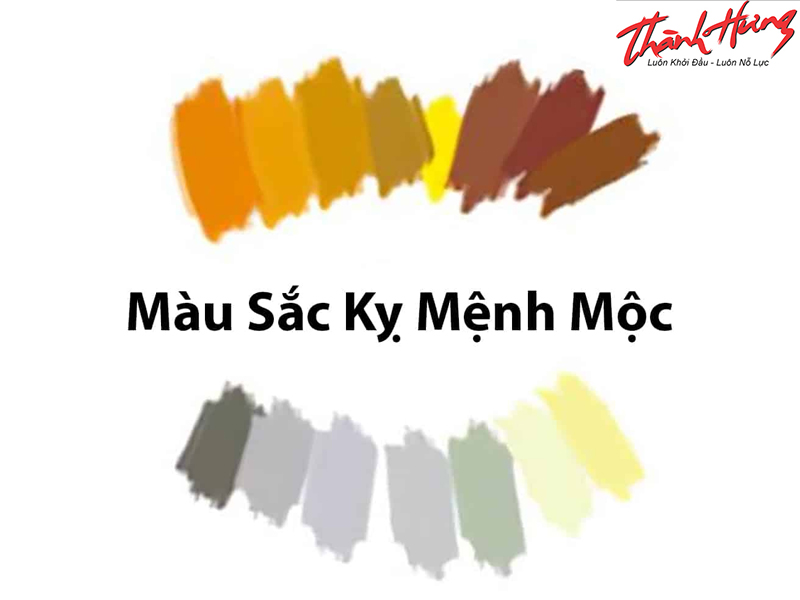 Mệnh Mộc kỵ màu gì