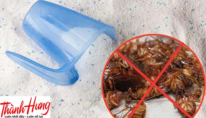 Diệt gián bằng bột xà phòng & nước súc miệng Diệt gián bằng bột xà phòng & nước súc miệng