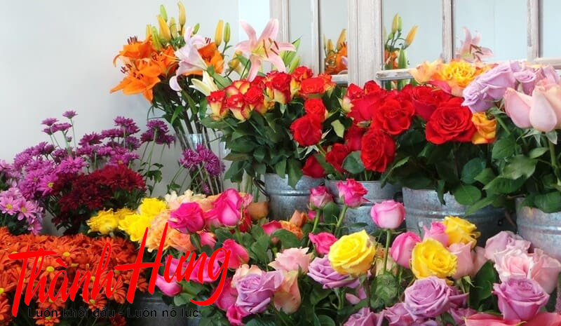 Vận chuyển hoa đi xa Vận chuyển hoa đi xa