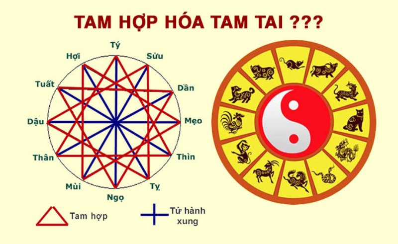 Tam hợp hóa tam tai