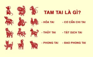 Tam tai là gì