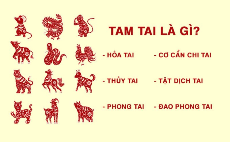 Tam tai là gì