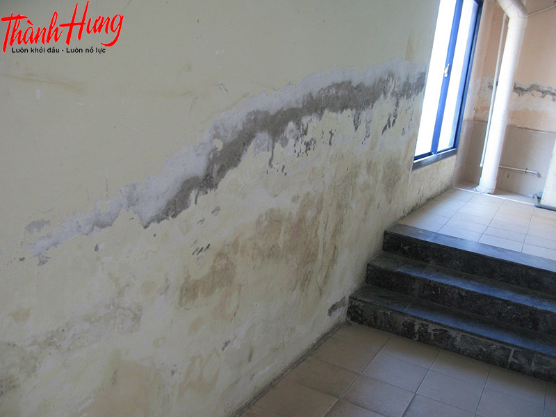 Có rất nhiều nguyên nhân khiến cho nhà và công trình của bạn bị ẩm mốc