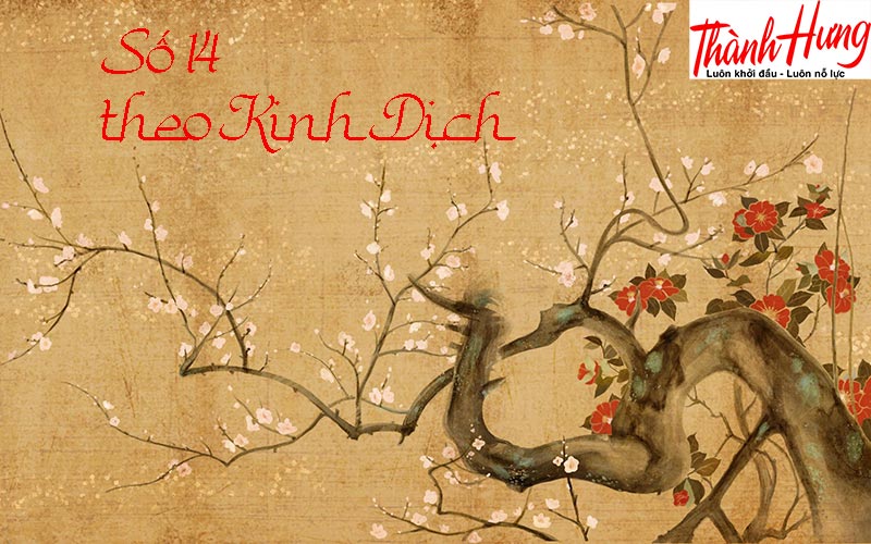 Số 14 có ý nghĩa gì theo Du Niên? Số 14 có ý nghĩa gì theo Du Niên?