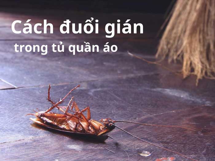 Cách phòng gián quay lại tủ quần áo